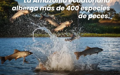 La Amazonía ecuatoriana: hogar de más de 400 especies de peces