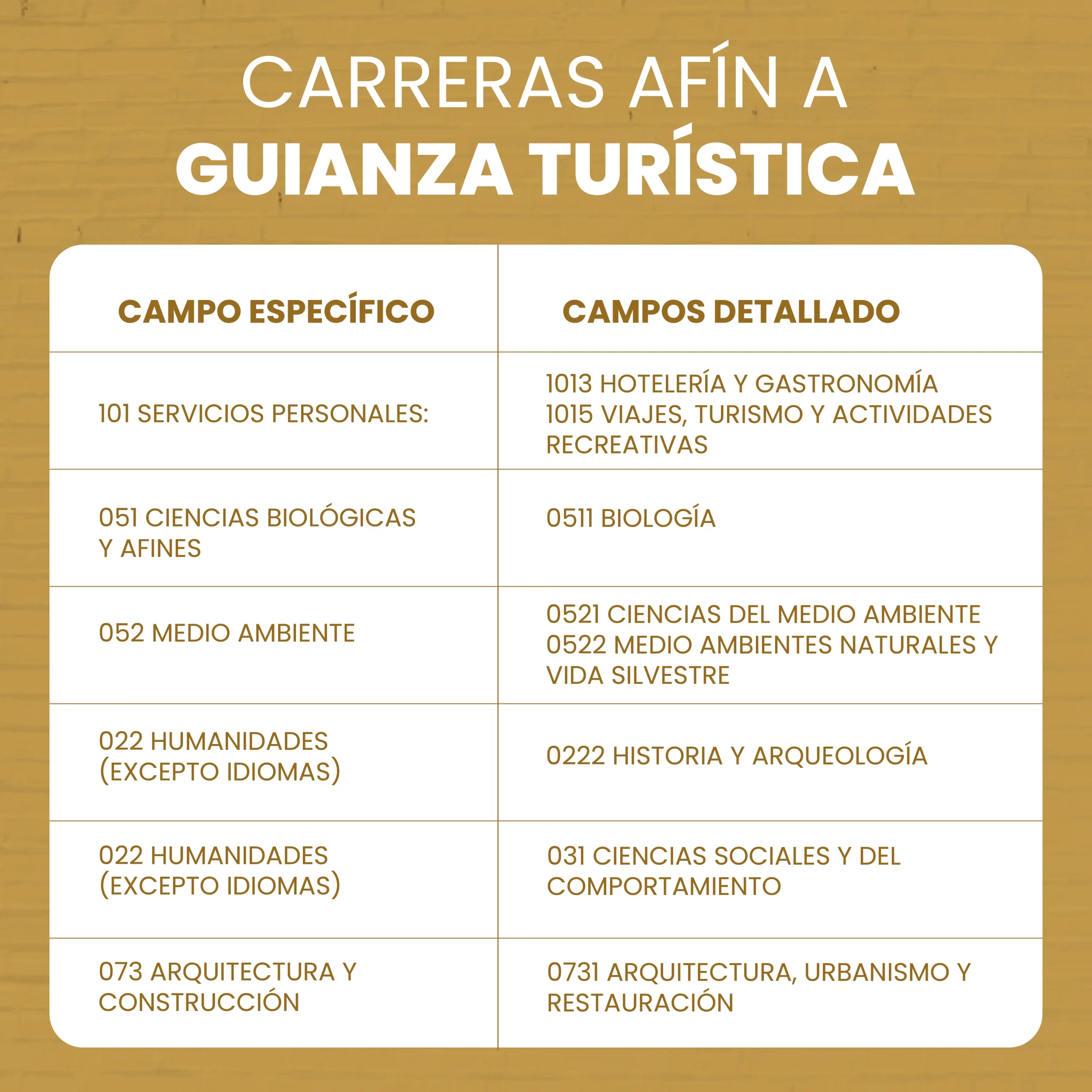 Carreras afin a guianza ec