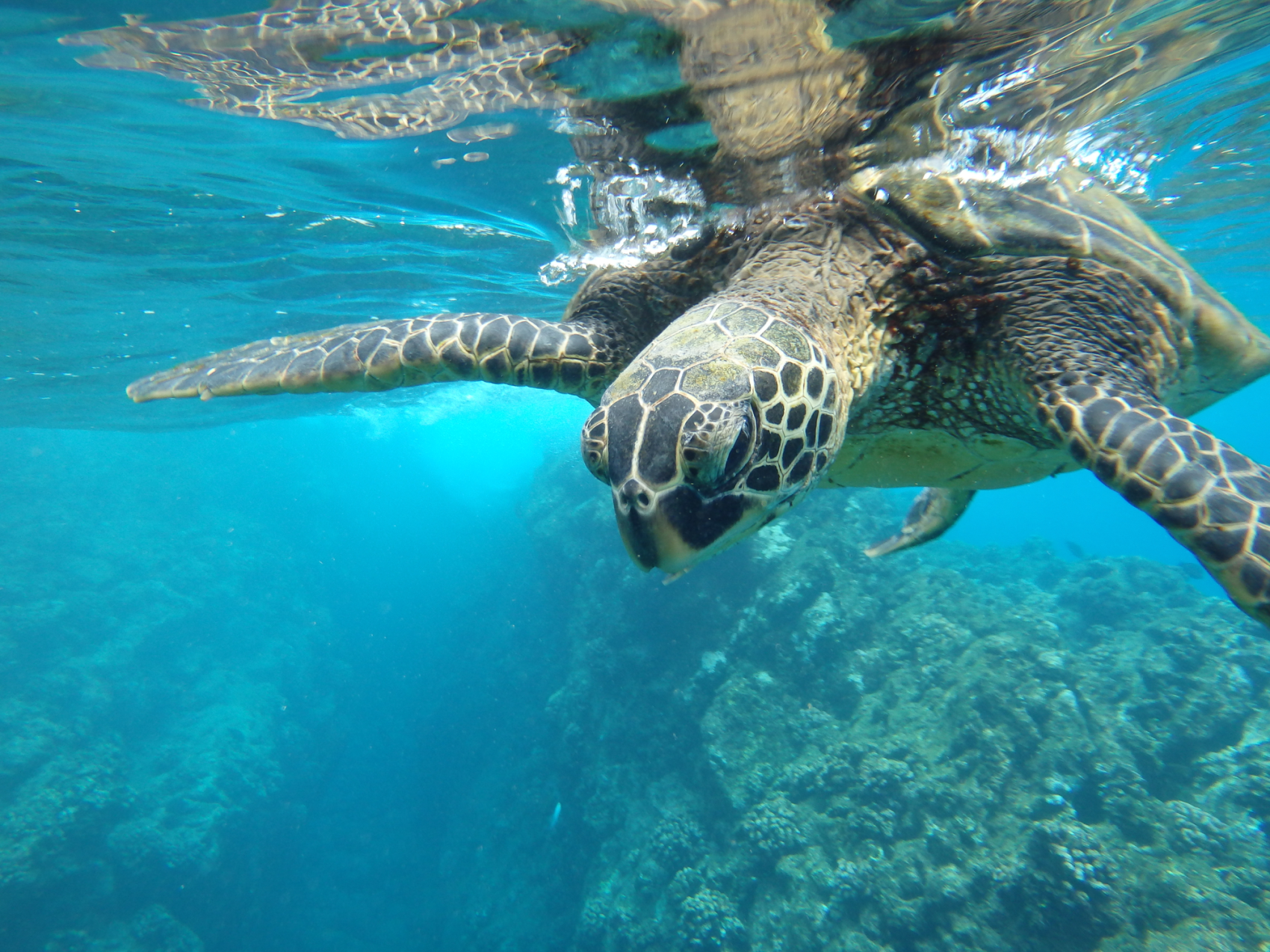 Galápagos: El Segundo Destino Del Mundo A Visitar En 2025, Según The 