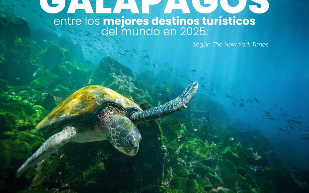 Galápagos: El Segundo Destino del Mundo a Visitar en 2025, según The New York Times