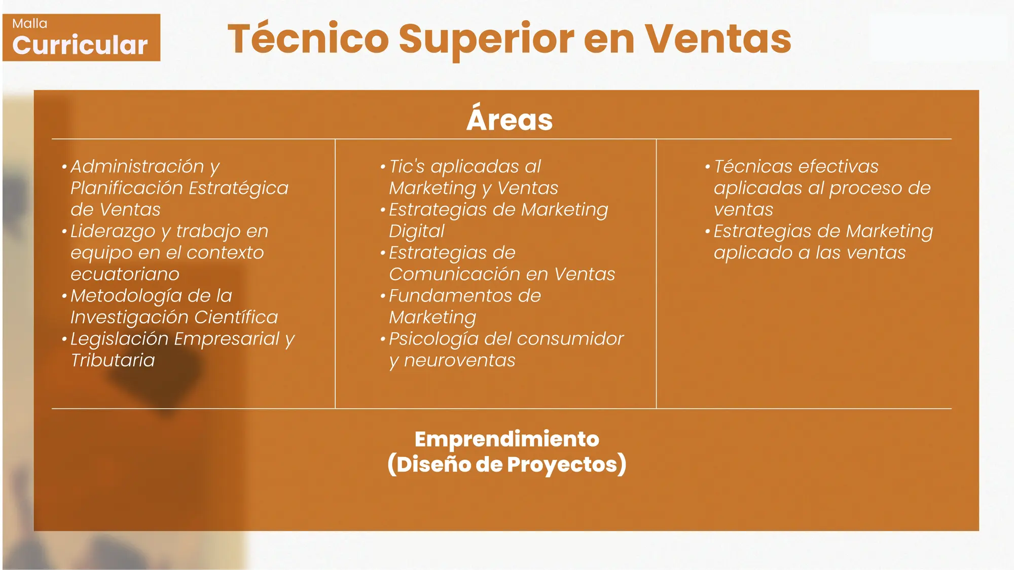 mallas Tecnico Ventas
